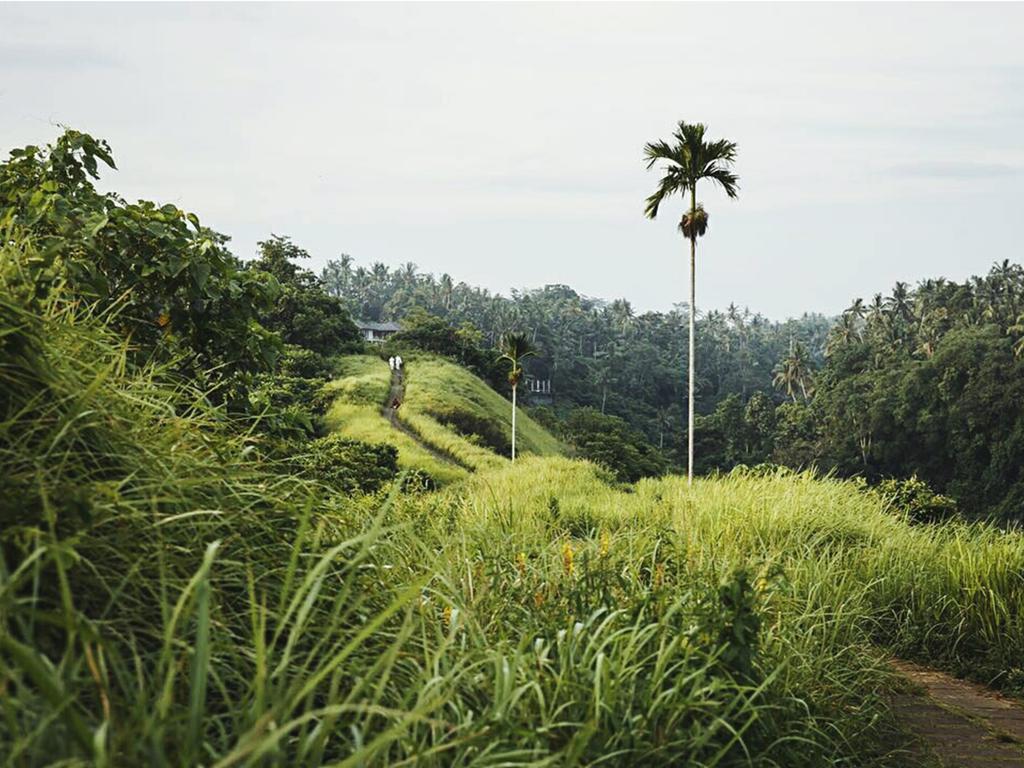 Sri Ratih Cottages, Chse Certified Ubud Exteriér fotografie
